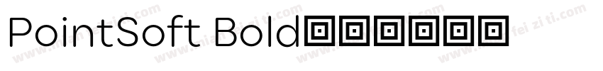 PointSoft Bold字体转换